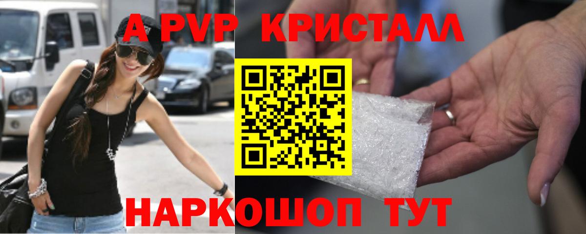 A-PVP СК Новодвинск