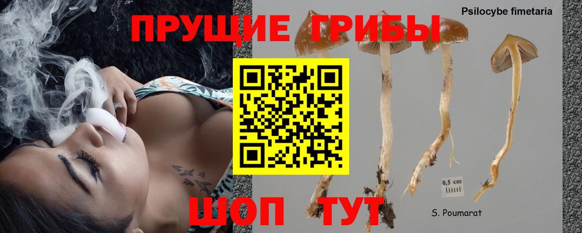 Псилоцибиновые грибы прущие грибы Новодвинск
